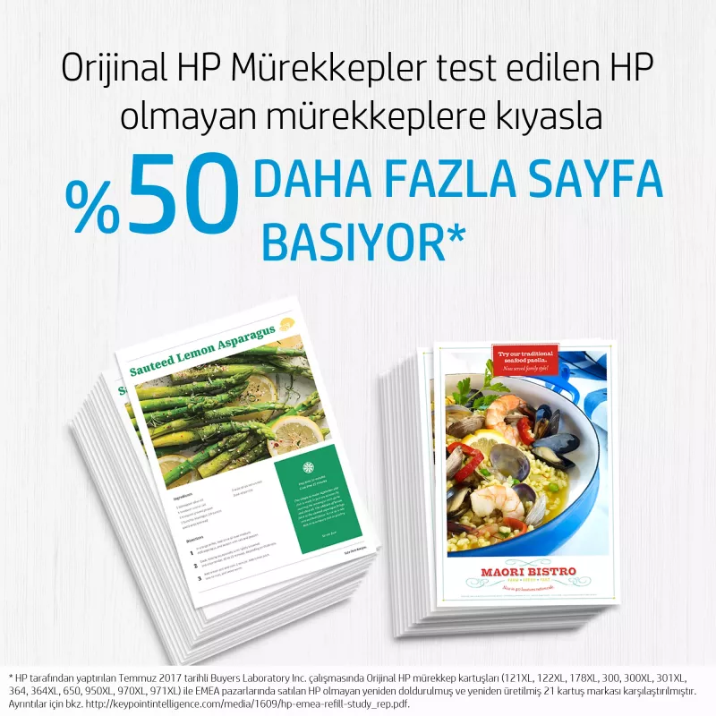 HP 300 tindivärv Vivera 4ml