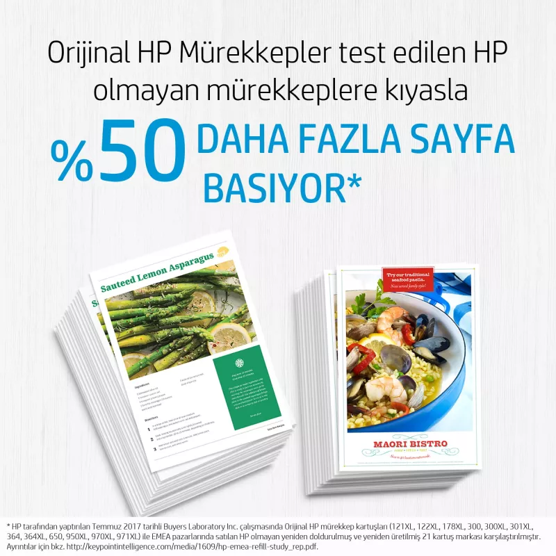 HP 300 tindivärv Vivera 4ml