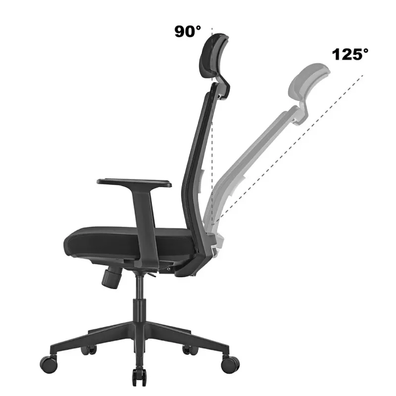 Ergo Office ER-425 Ergonoomiline kõrge seljatoega kontoritool, max 150 kg, pöörlev, reguleeritav tugi