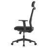 Ergo Office ER-425 Ergonoomiline kõrge seljatoega kontoritool, max 150 kg, pöörlev, reguleeritav tugi