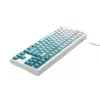 Havit KB901L mänguklaviatuur valge ja roheline USB juhtmega RGB LED