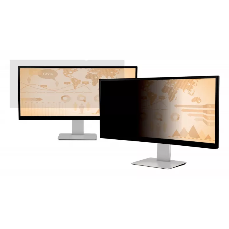 Privaatsusfilter monitorile 3M PF290W2B