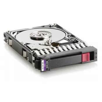 Hewlett Packard Enterprise 300 GB SAS 2.5 (W125833981)