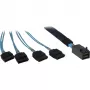 Kaabel INTER-TECH SFF-8643 kuni 4× SATA/SAS 0,7 m 12 Gbit/s sinine