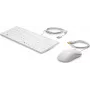HP USB klaviatuur ja hiir Healthcare Edition täissuuruses juhtmega valge