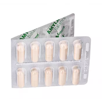 Vetfood Amylactiv Balance seedehäirete toetamine koertele ja kassidele 60 kapslit