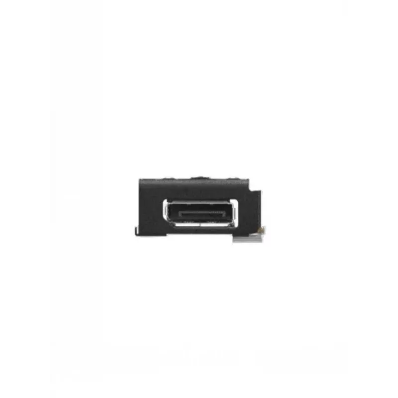 Lenovo TC Tiny DP laienduskaart Btb-pistikuga II
