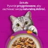 Märg kassitoit Whiskas Tasty Mix kokavalik kastmes 40×85 g kotikesed