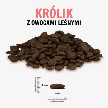 PAKA ZWIERZAKA küülik metsamarjadega suur 9 kg kuiv koeratoit