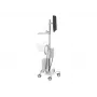 Ergotron 24-818-211 Ekraan