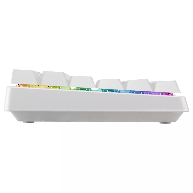 Mehaanilise stiiliga kompaktne juhtmevaba klaviatuur Cherry XTRFY K33 75% QWERTZ saksa valge USB + RF + Bluetooth RGB