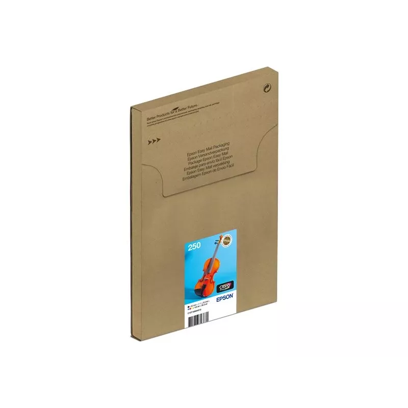 Tindiprinteri tindikassettide mitmikpakend Epson 250 EasyMail 6-pack originaal – must, kollane, tsüaan, magenta, hele tsüaan, hele magenta (MPN C13T16N84510)