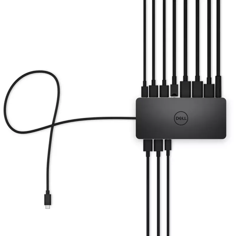 Dokkimisjaam DELL Universal Dock - UD22