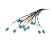 Digitus eelmonteeritud klaaskiust universaalne breakout-kaabel Single Mode OS2 12 kiudu LC/UPC 100 m