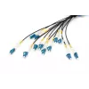 Digitus eelmonteeritud klaaskiust universaalne breakout-kaabel Single Mode OS2 12 kiudu LC/UPC 100 m
