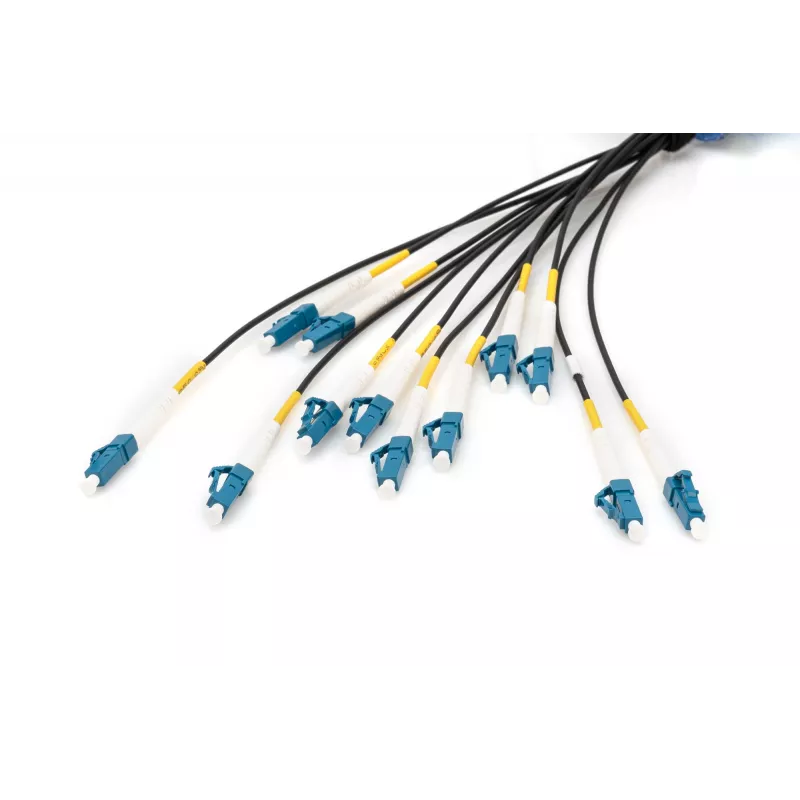 Digitus eelmonteeritud klaaskiust universaalne breakout-kaabel Single Mode OS2 12 kiudu LC/UPC 100 m