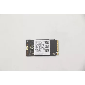 Lenovo 5SS0V42253 sisemine pooljuhtketas M.2 256 GB PCI Express (5SS0V42253)