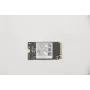 Lenovo 5SS0V42253 sisemine pooljuhtketas M.2 256 GB PCI Express (5SS0V42253)