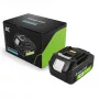 Aku roheline Cell PTMA18V5 Lithium-Ion 5Ah 600g