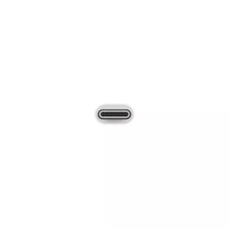 Apple USB-C USB-adapter MJ1M2ZM/A USB A USB C | Turime | ITwork