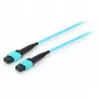 Equip Pro - patch-kaabel - MTP Multimode (W) - MTP Multimode (W) - 15,0m - kiudoptiline - 50/125 mikromeetrit - OM4 - akvamariinsinine (25555707)