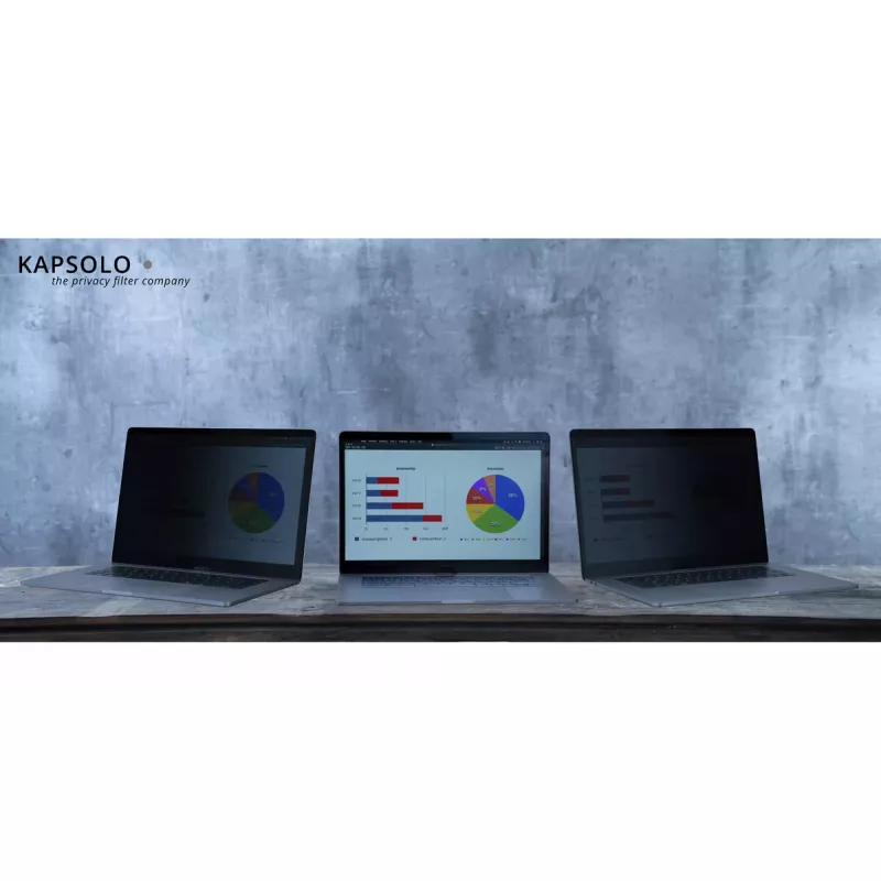 Privaatsusfilter KAPSOLO 2-Way Plug In 39,62 cm (15,6 tolli) 16:9