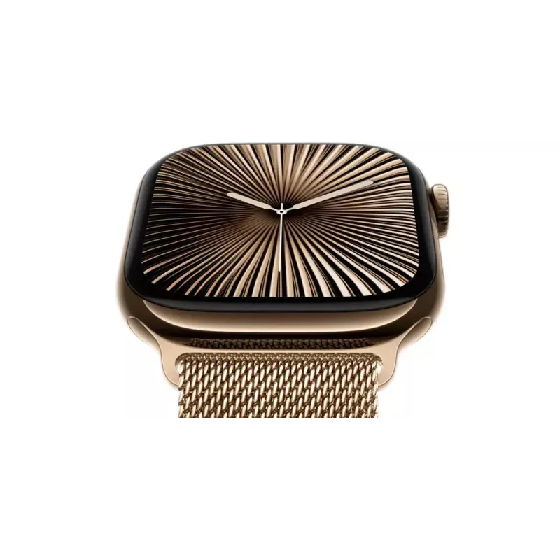 Nutikell Apple Watch Series 10 GPS + Cellular 46mm Slate titaankorpusega ja Slate Milanese Loop randmega - S/M