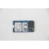Lenovo SSD M.2 PCIe NVMe FRU M.2-2242 256GB Gen3x4 RoHS WD