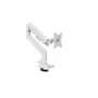 Monitorihoidik Arozzi AZ-ALZARE-NEO-WT valge 9kg VESA 75x75 100x100