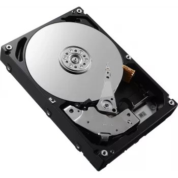DELL W125827144 sisemine kõvaketas 2.5 300 GB SAS (W125827144)