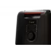 Bluetooth kõlar FERGUSON REGENT Power Audio 400BT RGB 60W FM USB AUX DSP must