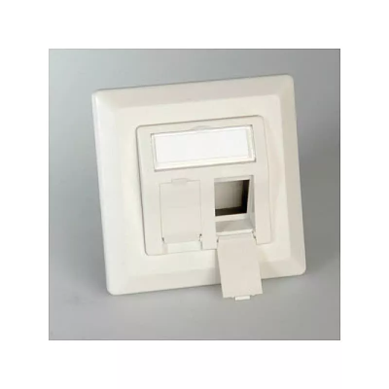 ROLINE Modulaufnahme fr Keystones 2-way