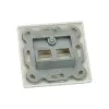 ROLINE Modulaufnahme fr Keystones 2-way