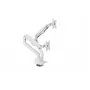 Monitor desk mount Arozzi AZ-ALZARE-NEO-DUO-WT for 2 screens, up to 81.3 cm (32 inch), 18 kg total, VESA 75x75–100x100, Valge