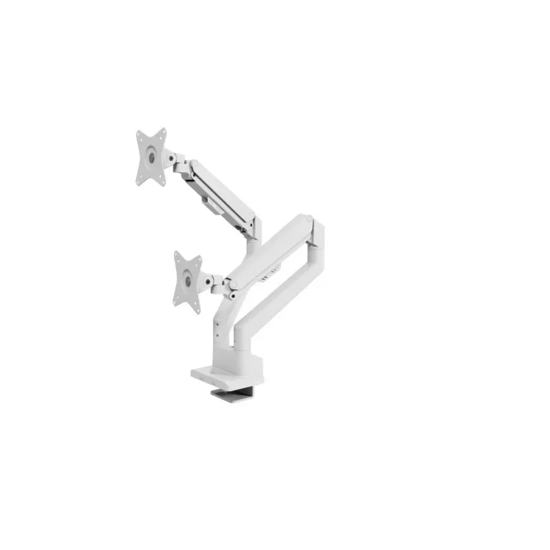 Monitor desk mount Arozzi AZ-ALZARE-NEO-DUO-WT for 2 screens, up to 81.3 cm (32 inch), 18 kg total, VESA 75x75–100x100, Valge