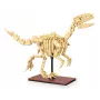 Ehituskomplekt Jamara CaDA Dinosaur fossil Velociraptor — 256 tükki, alates 8. eluaastast, beež/pruun