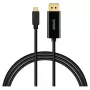 Kaabel SAVIO CL-207 USB-C - DisplayPort 2,0 m, DisplayPort 1.2 tugi