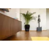 Gorenje SVC296749NEBL 2-in-1 pulkpuhastaja Aku Kuiv HEPA Kotita 0,6 L 550 W Antratsiit