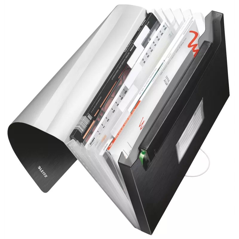 Leitz paisuv lehvikstiilis toimik PP, A4, polüpropüleen (PP), must, 250 lehte, 80 g/m², 6 taskut