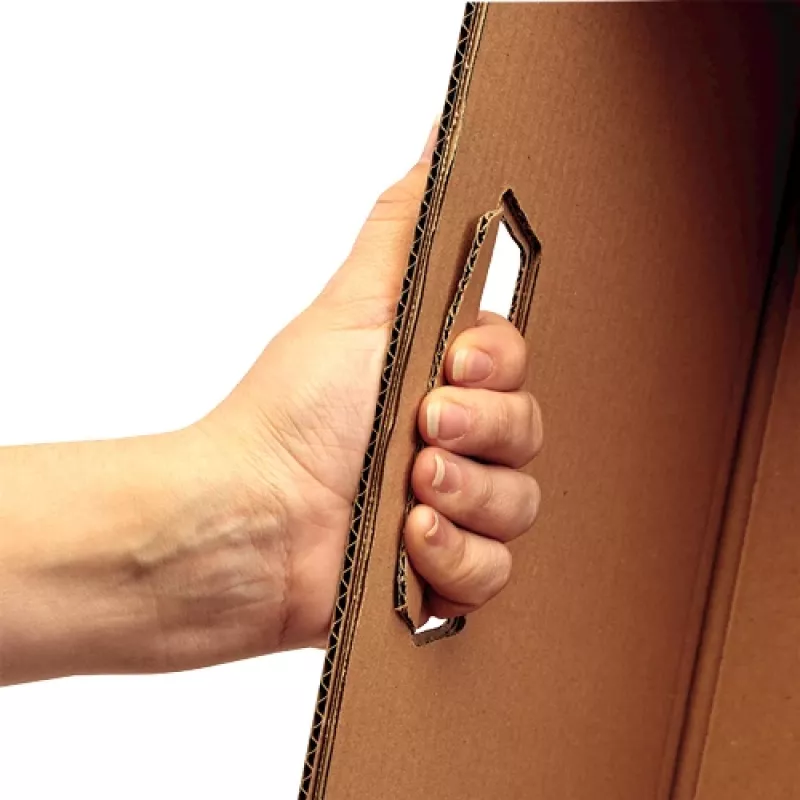 Fellowes 6203801 hoiukast Ristkülikukujuline Papp Looduslik