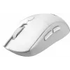 MSI FORGE K210 W COMBO Valge US klaviatuur, hiir kaasas, Kodukontor, USB, QWERTY, US inglise