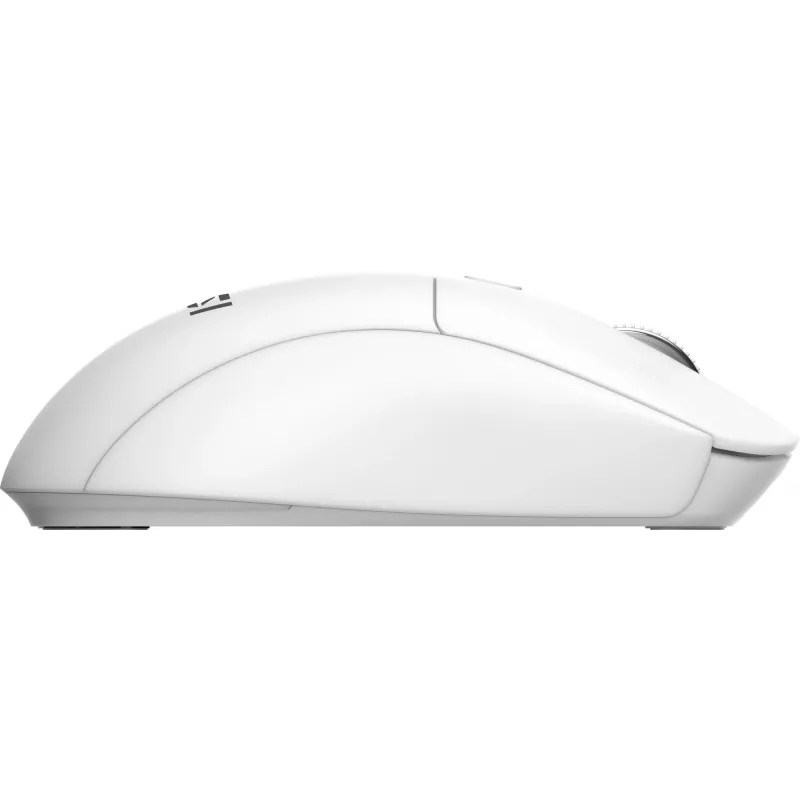 MSI FORGE K210 W COMBO Valge US klaviatuur, hiir kaasas, Kodukontor, USB, QWERTY, US inglise