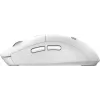 MSI FORGE K210 W COMBO Valge US klaviatuur, hiir kaasas, Kodukontor, USB, QWERTY, US inglise