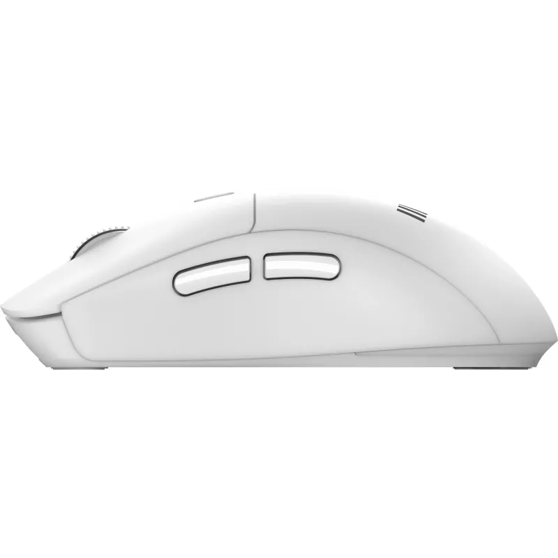 MSI FORGE K210 W COMBO Valge US klaviatuur, hiir kaasas, Kodukontor, USB, QWERTY, US inglise
