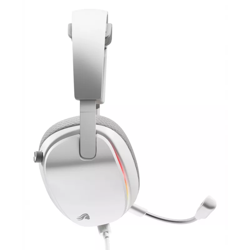 Glorious Gaming Glorious GHS Eternal RGB – Stereo-RGB-mängukõrvaklapid arvutile, PS5-le, PS4-le, Switchile – kohandatud häälestusega nurga all draiverid, reguleeritav kristallselge eemaldatav mikrofon, USB-C – vastupidav, kogu päeva/öö mugavus – valge