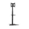 Chief PF1UB monitori kinnitus / alus 190,5 cm (75 tolli) põrandale Must