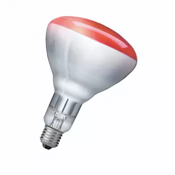 Infrapunalamp Philips 923212043801 250 W 5000 h 230-250 V