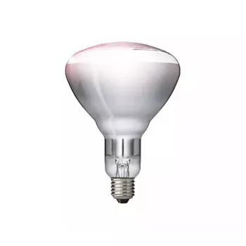 Infrapunapirn Philips 57522725 150 W 5000 h 230-250 V