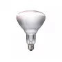 Infrapunapirn Philips 57522725 150 W 5000 h 230-250 V
