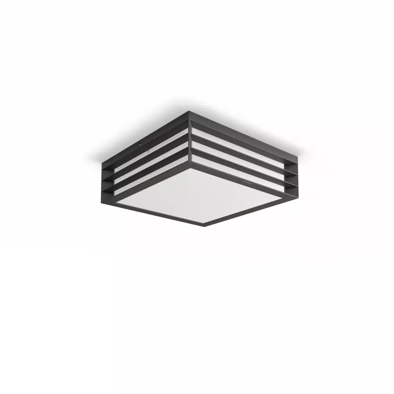 Philips myGarden Moonshine laevalgusti 28W E27 ilma pirnita, välisseinavalgustus, antratsiit, alumiinium, sünteetika, IP44, aed, terrass, II